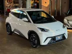 BYD Dolphin Mini - Miniatura 1