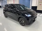 BYD Dolphin Mini