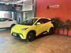 BYD Dolphin Mini - Miniatura 19