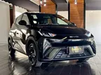 BYD Dolphin Mini - Miniatura 1