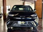 BYD Dolphin Mini - Miniatura 2