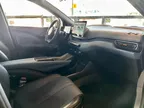 BYD Dolphin Mini - Miniatura 13