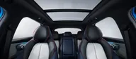 BYD Yuan Plus - Miniatura 10