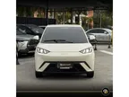BYD Dolphin Mini - Miniatura 2