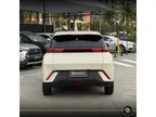 BYD Dolphin Mini - Miniatura 4