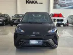 BYD Dolphin Mini - Miniatura 3