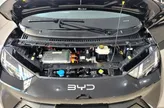 BYD Dolphin Mini - Miniatura 15