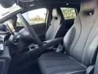 BYD Dolphin Plus - Miniatura 11