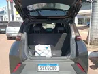 BYD Dolphin Mini - Miniatura 6