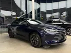 BYD King
