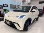 BYD Dolphin Mini