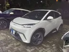BYD Dolphin Mini - Miniatura 1