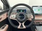BYD Dolphin Mini - Miniatura 9