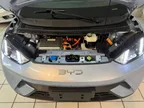 BYD Dolphin Mini - Miniatura 12