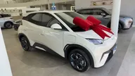 BYD Dolphin Mini - Miniatura 2