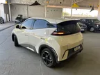 BYD Dolphin Mini - Miniatura 3