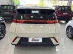 BYD Dolphin Mini - Miniatura 4