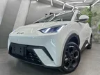 BYD Dolphin Mini - Miniatura 3