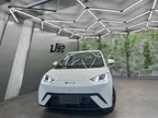BYD Dolphin Mini - Miniatura 4