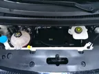 BYD Dolphin - Miniatura 15