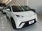BYD Dolphin Mini - Miniatura 2