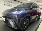 BYD Dolphin Mini - Miniatura 3