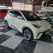 BYD Dolphin Mini - Miniatura 4