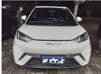 BYD Dolphin Mini - Miniatura 2