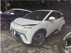 BYD Dolphin Mini - Miniatura 3