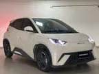 BYD Dolphin Mini - Miniatura 1