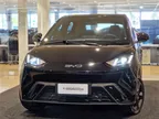 BYD Dolphin Mini