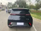BYD Dolphin Mini - Miniatura 11
