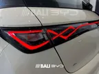 BYD Dolphin - Miniatura 4