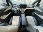 BYD Dolphin - Miniatura 6