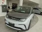 BYD Dolphin Plus - Miniatura 1