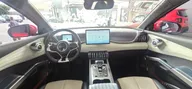 BYD Yuan Plus - Miniatura 9