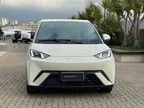 BYD Dolphin Mini - Miniatura 4