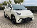 BYD Dolphin Mini - Miniatura 5