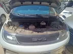 BYD Dolphin Plus - Miniatura 14