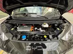 BYD Dolphin Mini - Miniatura 16