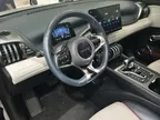 BYD Yuan Plus - Miniatura 13