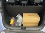 BYD Dolphin Mini - Miniatura 12