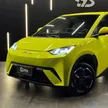BYD Dolphin Mini - Miniatura 2