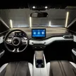 BYD Dolphin Mini - Miniatura 9
