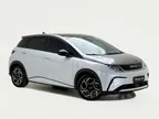 BYD Dolphin Plus