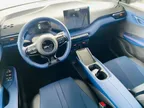 BYD Dolphin Mini - Miniatura 12