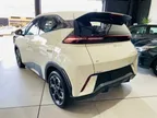 BYD Dolphin - Miniatura 6