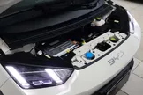 BYD Dolphin Mini - Miniatura 18