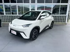 BYD Dolphin Mini - Miniatura 3