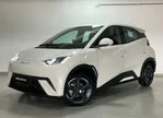 BYD Dolphin Mini